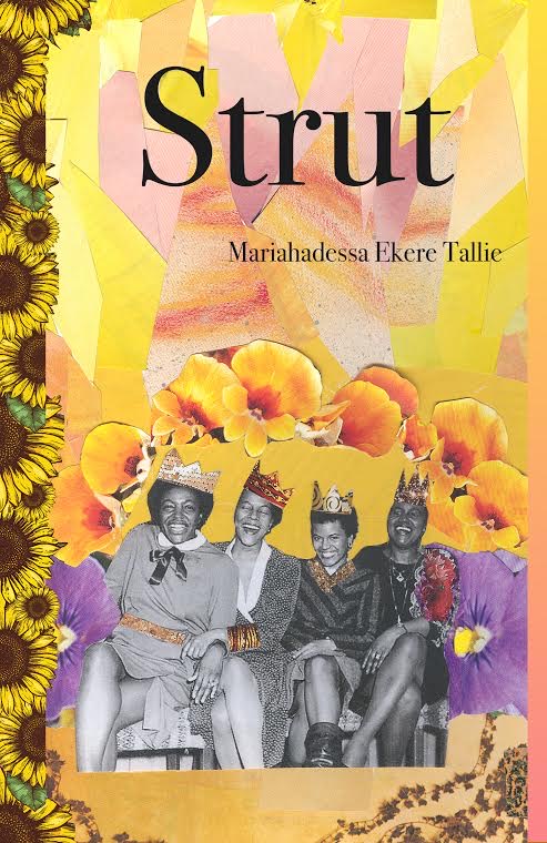 Strut - book cover